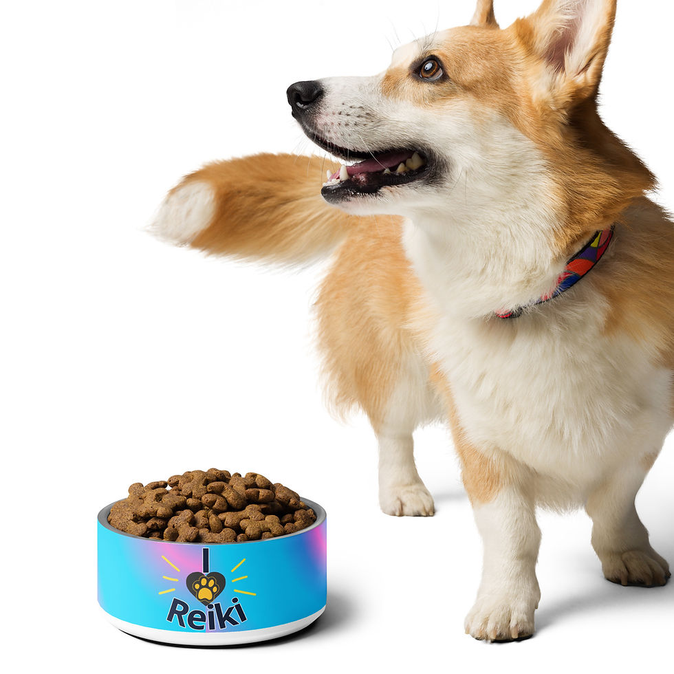 Thumbnail: I love Reiki animal bowl full with a corgi-like dog looking to their right, standing beside it