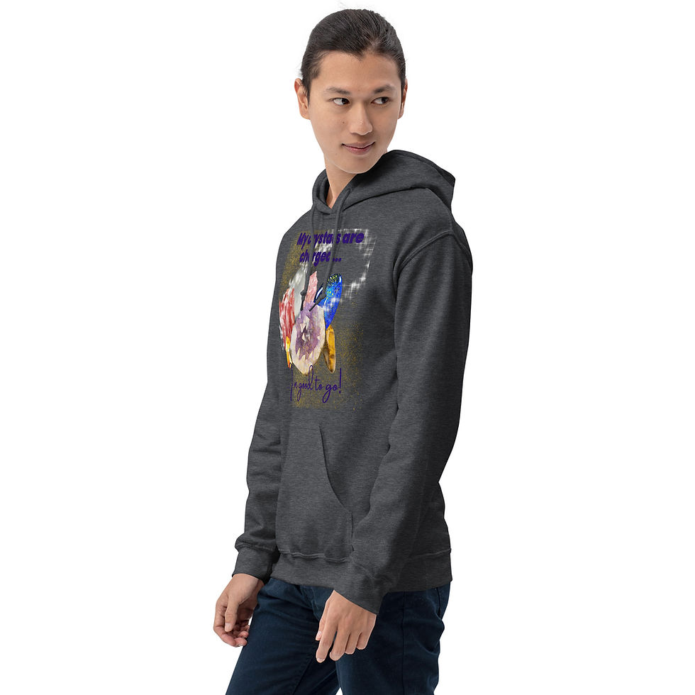 Miniatura: My Crystals are Charged - I'm Good to Go hoodie