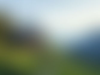 Géobiologie : comprendre son habitat pour mieux vivre