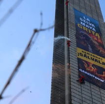 Activists climb monument in Mexico City demanding protection of the Mayan jungle