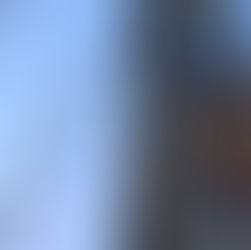 Activists climb monument in Mexico City demanding protection of the Mayan jungle