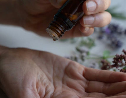 Hand tropt pflanzliches Tinktur-Öl aus einer kleinen Flasche über frische Kräuter- Darstellung natürlicher Inhaltsstoffe.