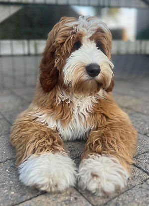 WhatsApp Image 2025-12-23 at 20.00_edited.jpg