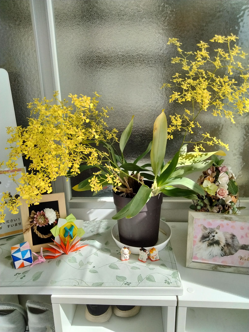 ゴールデンウイーク営業時間