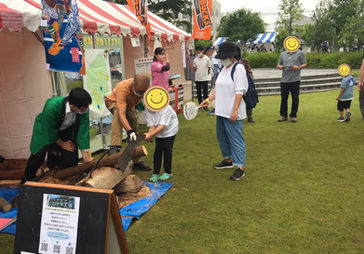 「栃木県民の日」大きな鋸に子供が挑む。