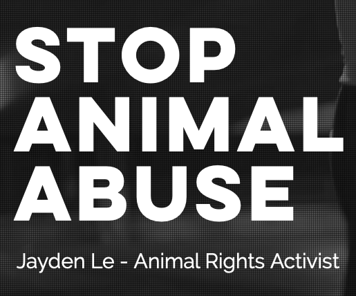 Stop Animal Abuse