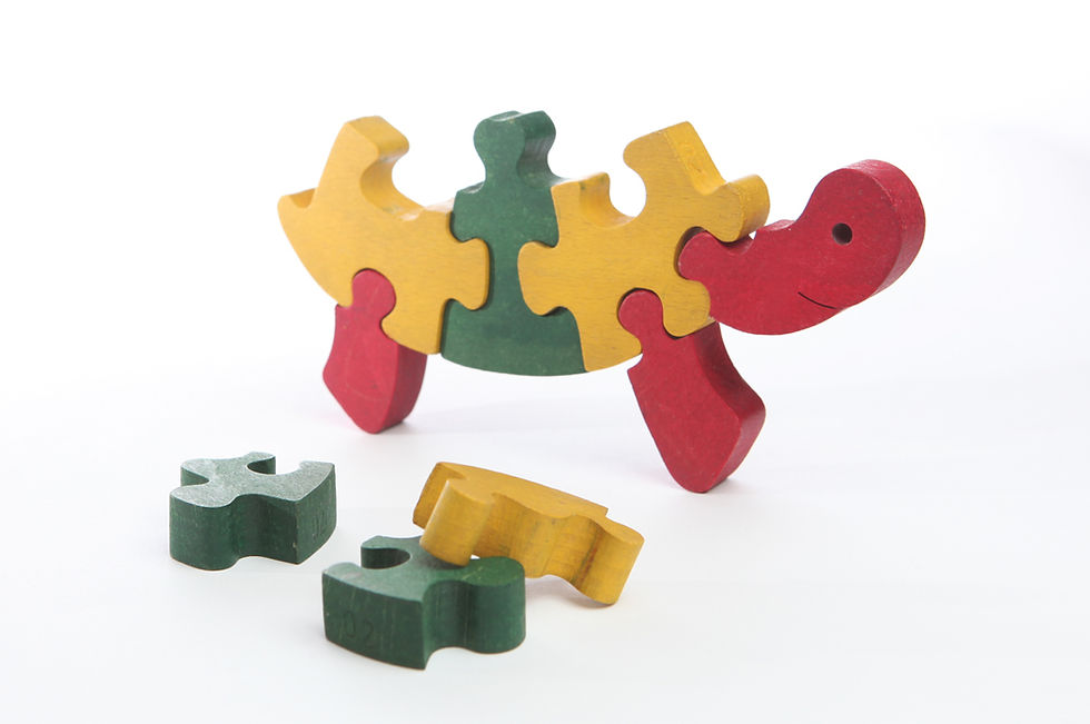 Turtle Puzzelstukjes