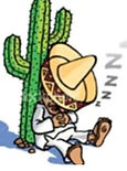 Siesta Image.jpg