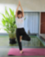 image of yoga asana by hathavidya