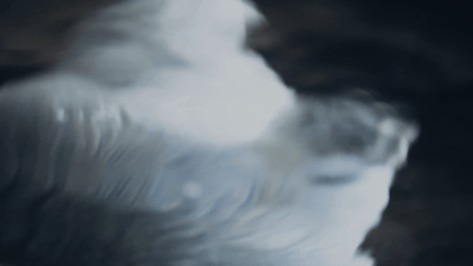 RCG_01_16x9.gif