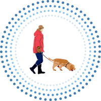 loga do zajęć (1).png