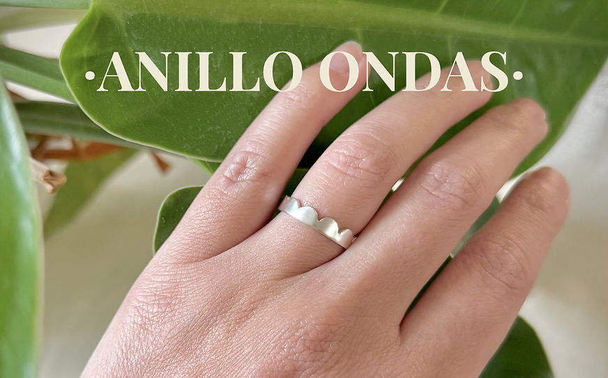 Banner Anillo Ondas2.jpg
