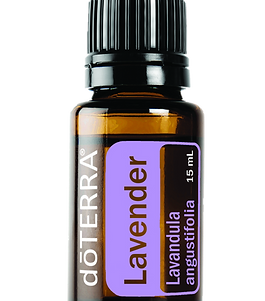 doterra-lavender-png.png