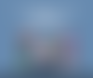 Town Meeting Accessibility Accommodations