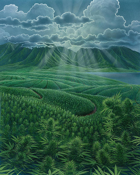 hemp-fields-richard-fields.jpg