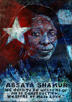 Assanta Shakur- weapons of mass construction