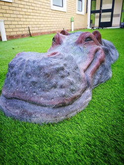 Hippo sculpture