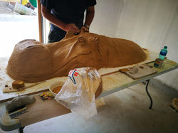 hippo sculpting