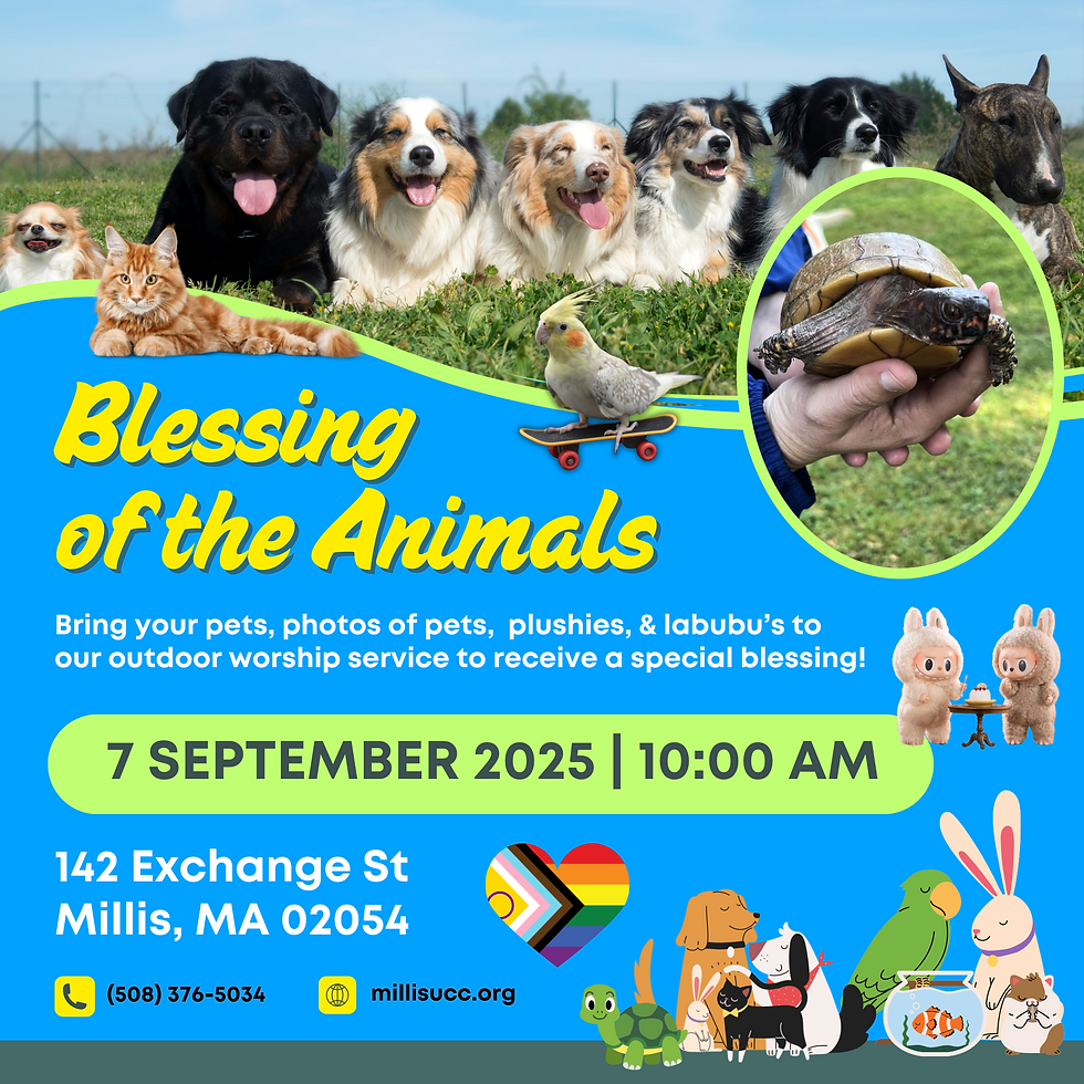 Blessing of the Animals