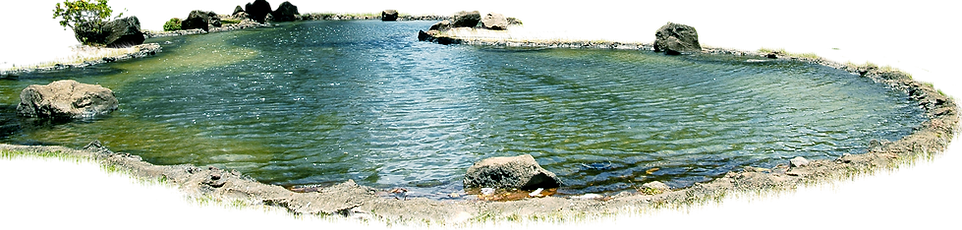 60760-duka-cemetery-park-berita-pond-vie