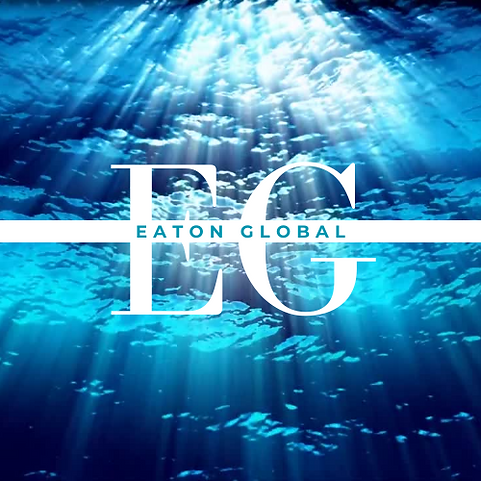 Beige Black Bold Minimalist Brand Signature Logo (18).png