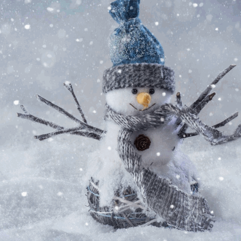 B6E3D656-4353-11EB-B8F4-12BDE6A8E511.gif