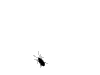 moucha.gif