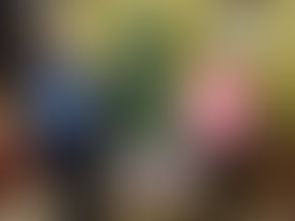 The Leanne Fund Christmas Raffle 2016