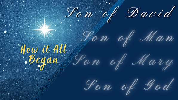 Son of David (Banner).png