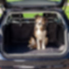 Trixie Car Boot Cover