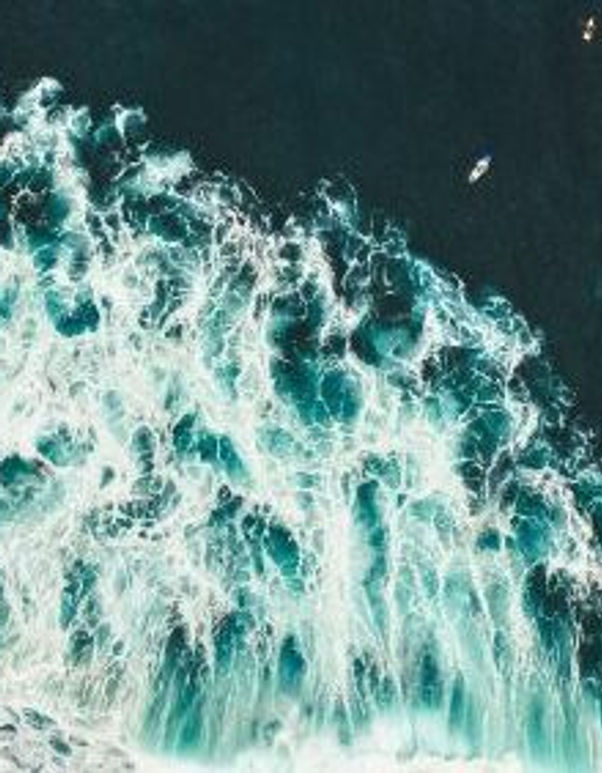 Additional or Special Needs