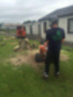 Culbert & Sons Tree Care ltd
