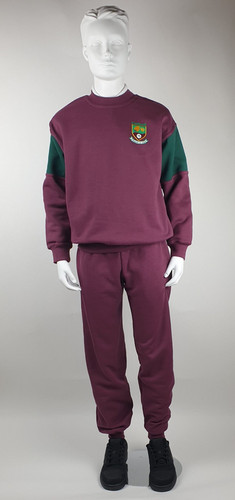 NEW Scoil Naomh Barra N.S. Tracksuit main image 0