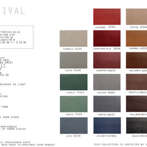 Festival Swatch.jpg