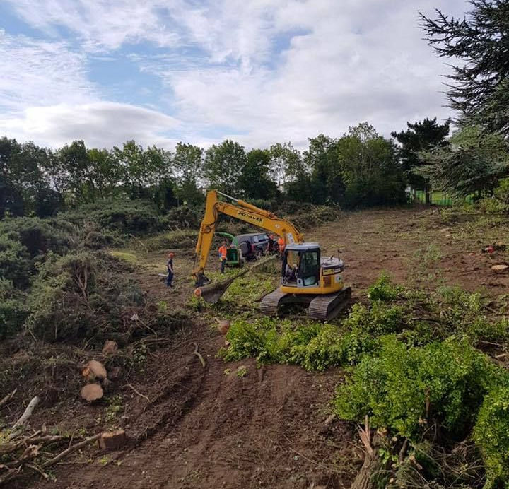 DC Tree Services