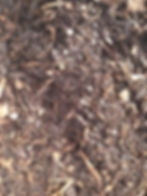 Bark Mulch