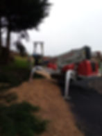 Acorn Tree Services Ltd
