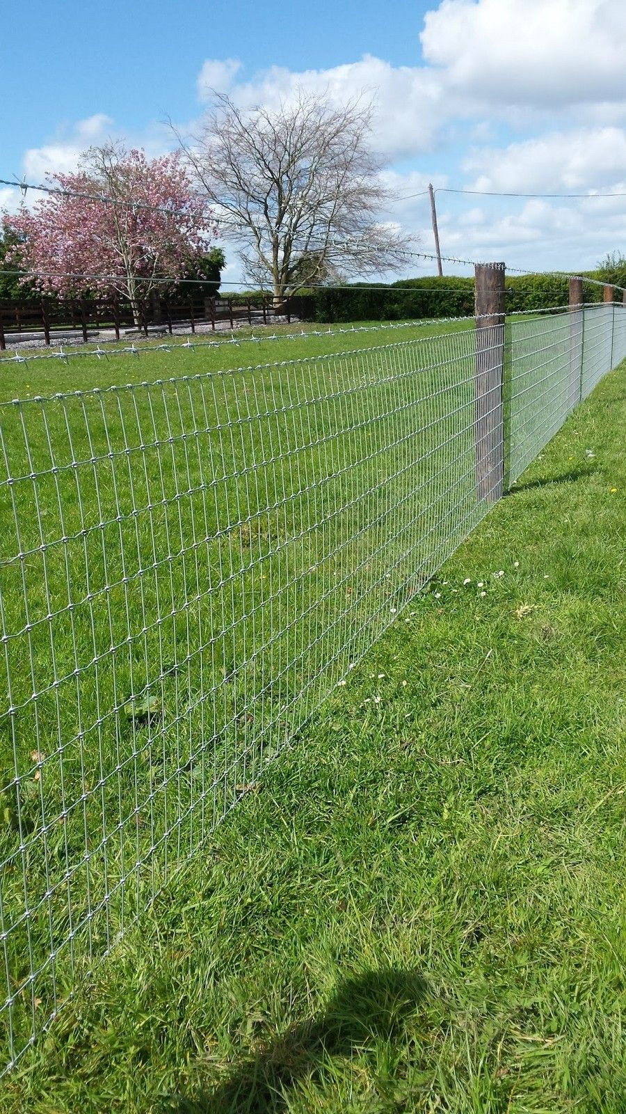 Tara Fencing