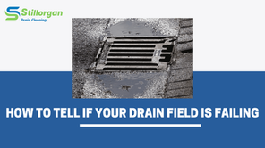 How To Tell If Your Drain Field Is Failing