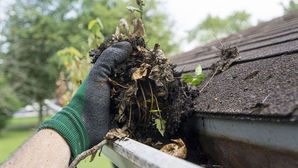 Gutter Cleaning