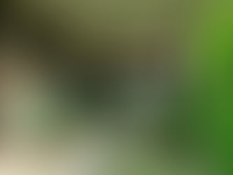 School of the future?