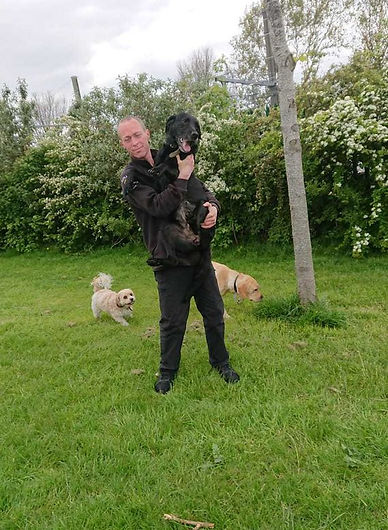 Waggytailadventures