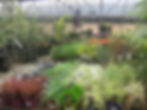 VAN DER WEL LTD. Cappagh Nurseries & Garden Centre