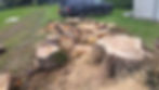 Acorn Tree Services Ltd