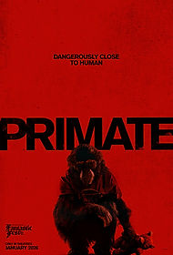 primate.jpg