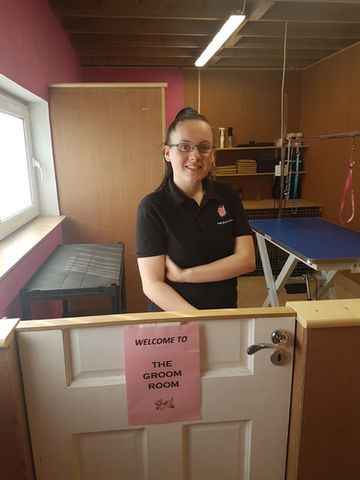 dog grooming