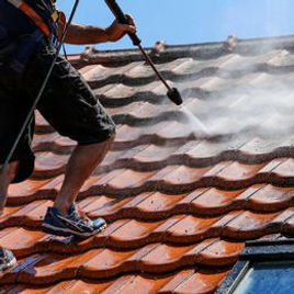 roof cleaning