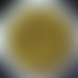 Vegan Spinach and Avocado Soup