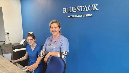 Bluestack Veterinary Clinic