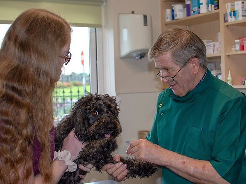suirsideveterinaryclinic.jpg